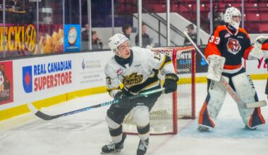 Roger McQueen Brandon Wheat Kings