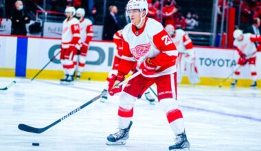 Lucas Raymond, Detroit Red Wings, Predators