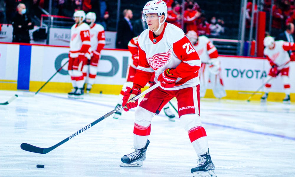 Lucas Raymond, Detroit Red Wings, Predators
