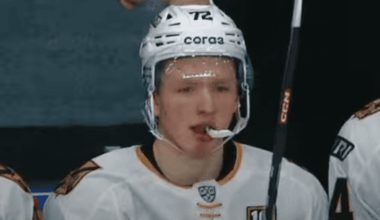 Dmitri Buchelnikov, Red Wings prospect