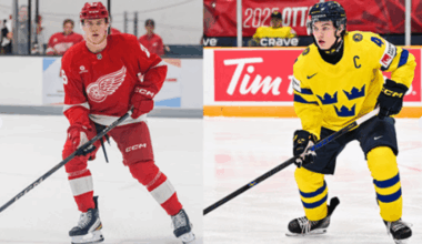 Brandsegg-Nygard / Sandin Pellikka, grand rapids griffins
