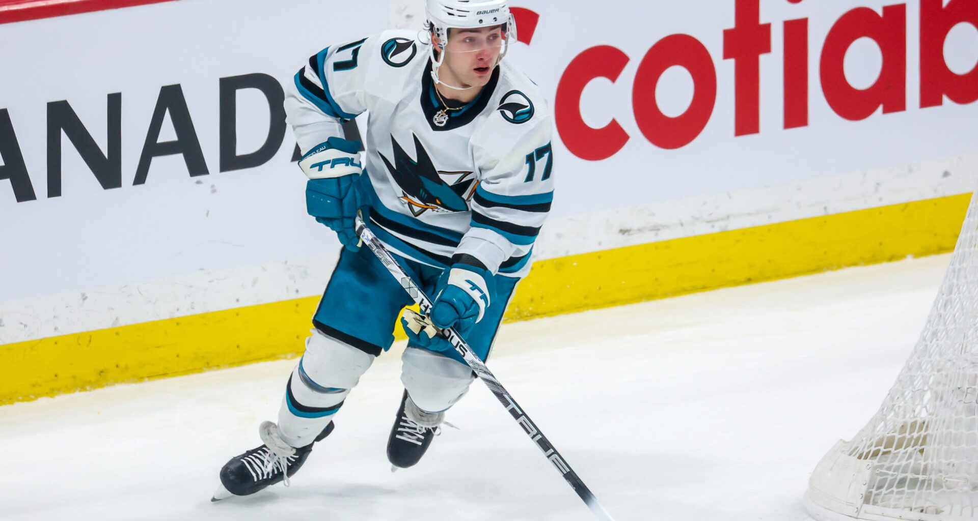 Sharks' Bordeleau and Gushchin Have Become Casualties of the Rebuild - The Hockey Writers - San Jose Sharks