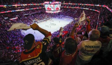 Mirtle: The NHL’s Sun Belt ‘problem’ has no easy solution. But does it need one?