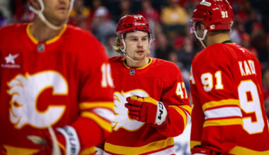 Free Agent Focus: Calgary Flames