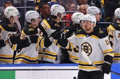 Boston Bruins center Casey Mittelstadt celebrates after goal during 2025 game.