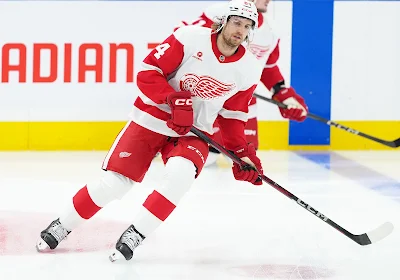 William Lagesson, Detroit Red Wings