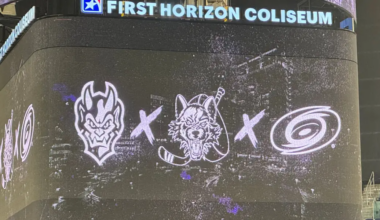 Gargoyles logo next to Chicago Wolves logo next to Carolina Hurricanes logo signifying affiliation