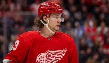 Moritz Seider, red wings