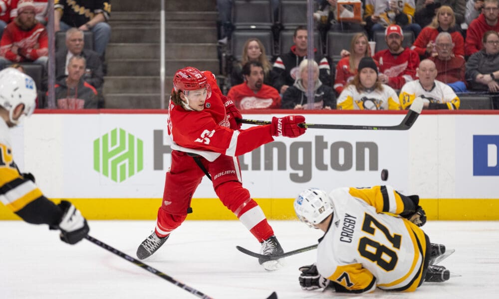 Moritz Seider, Red Wings