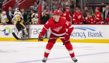 Lucas Raymond, Red Wings