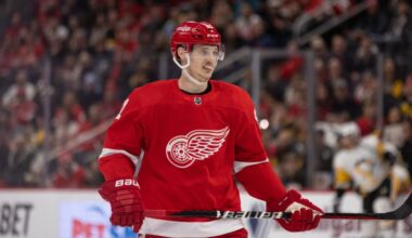 Dominik Kubalik, Red Wings