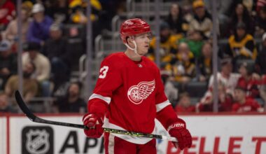 Lucas Raymond, Red Wings