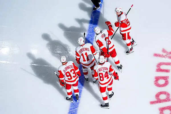 Detroit Red Wings during the second period