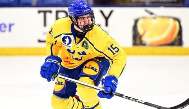 Blackhawks Draft Profiles: Anton Frondell