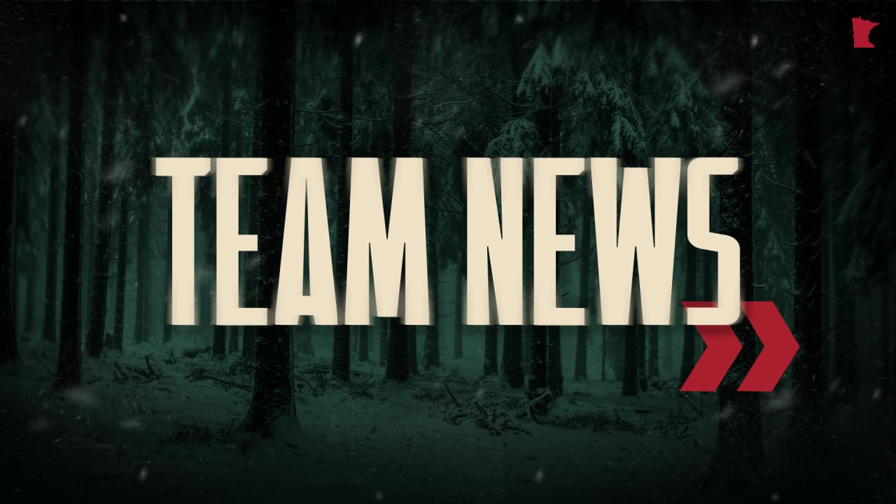 Seven Members of Wild Organization to Participate at 2025 IIHF Men's World Championship