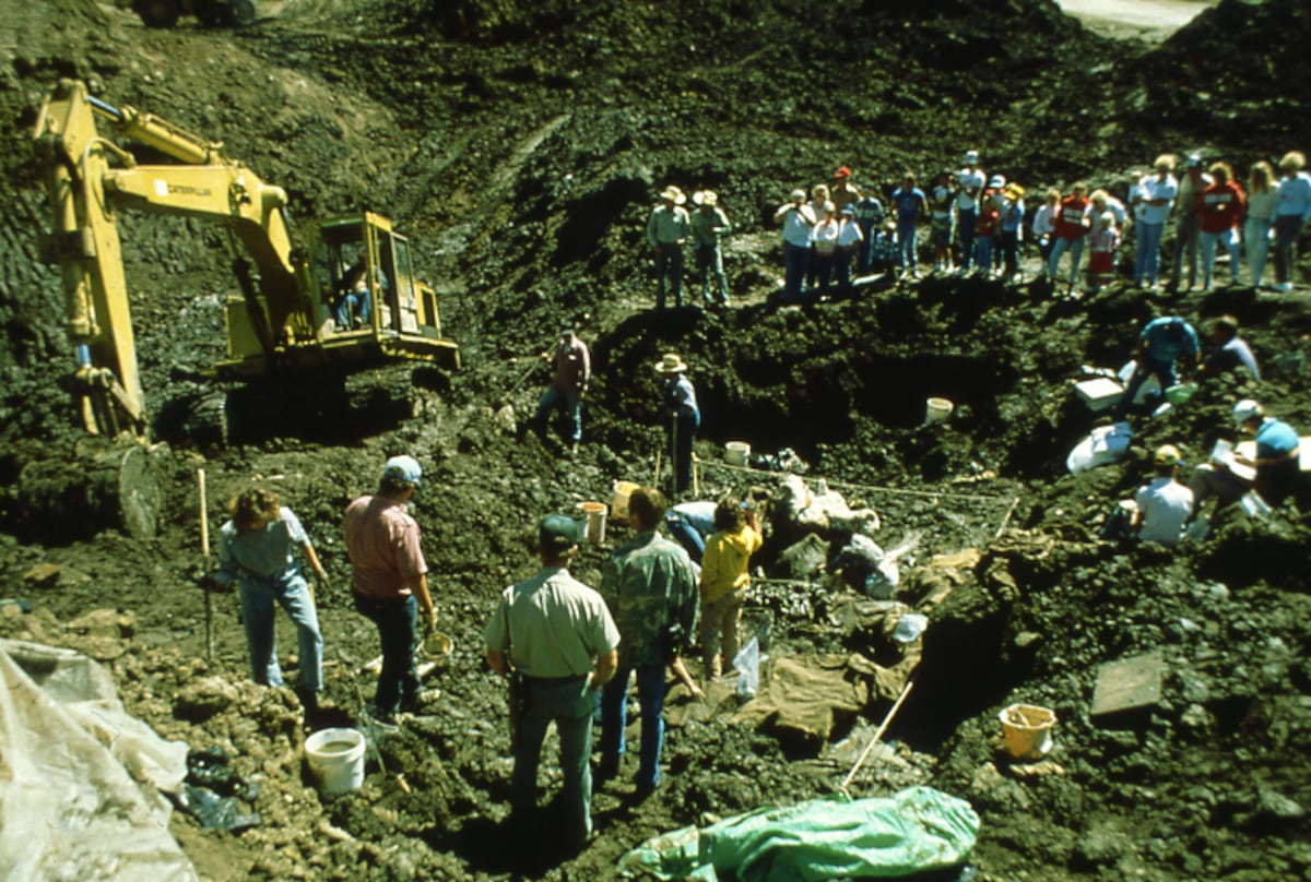 Utah Mammoth? NHL name would mean something to scientists, hockey fans alike