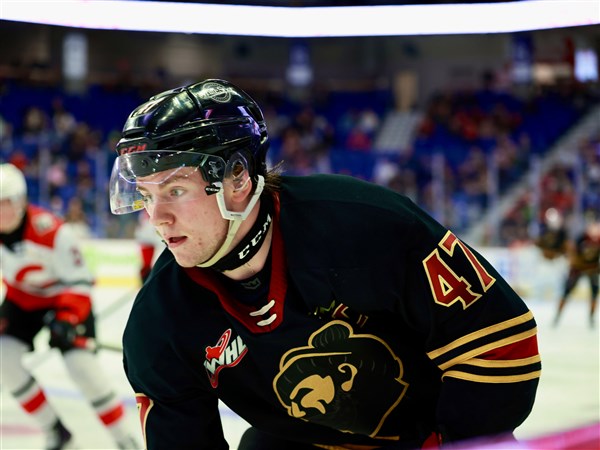 Briggs: How Bowling Green — yes, BG! — landed the nation's top hockey recruiting class