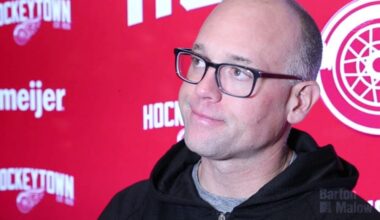 Jeff Blashill, Detroit Red Wings