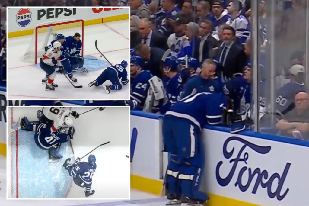 Maple Leafs' Anthony Stolarz leaves game in ambulance after puking on bench