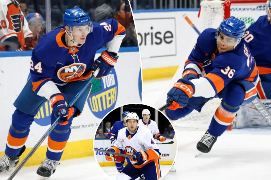 Islanders have extensive possibilities with defensive room this offseason