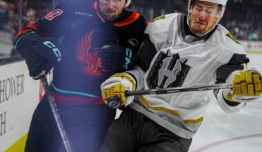 Robert Hagg To Sign In SHL