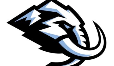 Utah Mammoth is the permanent name of the NHL team in Salt Lake City