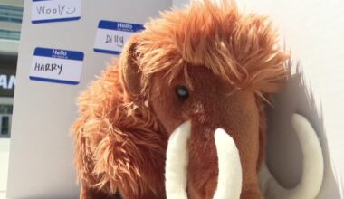 What should the Utah Mammoth mascot be named?