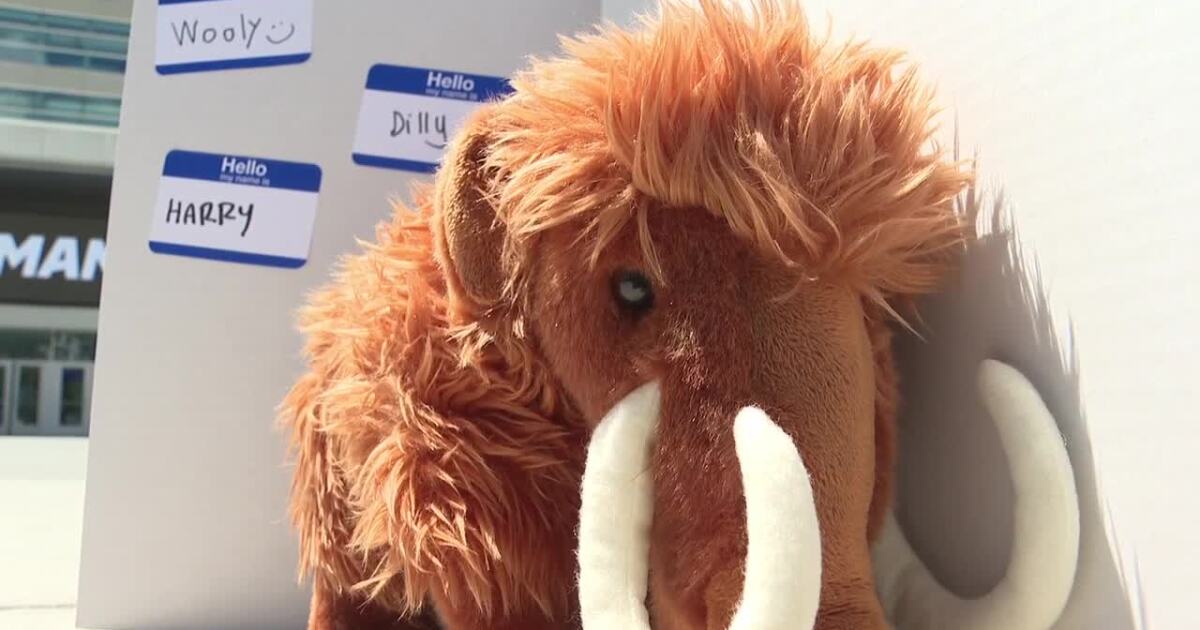 What should the Utah Mammoth mascot be named?
