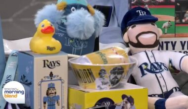Tampa Bay Rays Charity Yard Sale
