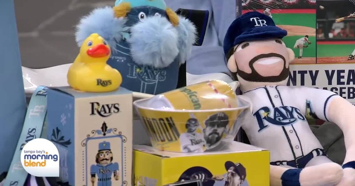 Tampa Bay Rays Charity Yard Sale