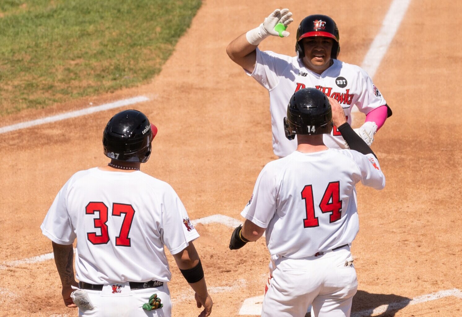 RedHawks to host ‘Moorhead Spuds State Hockey Championship Night’ - InForum