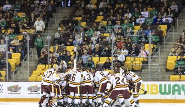 UMD hockey attendance at Amsoil Arena drops in 2024-25 - Duluth News Tribune