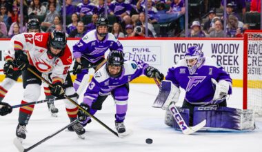 Former Bulldogs help Minnesota win back-to-back PWHL titles - Duluth News Tribune