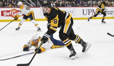 Very Different Type of Penguins Win