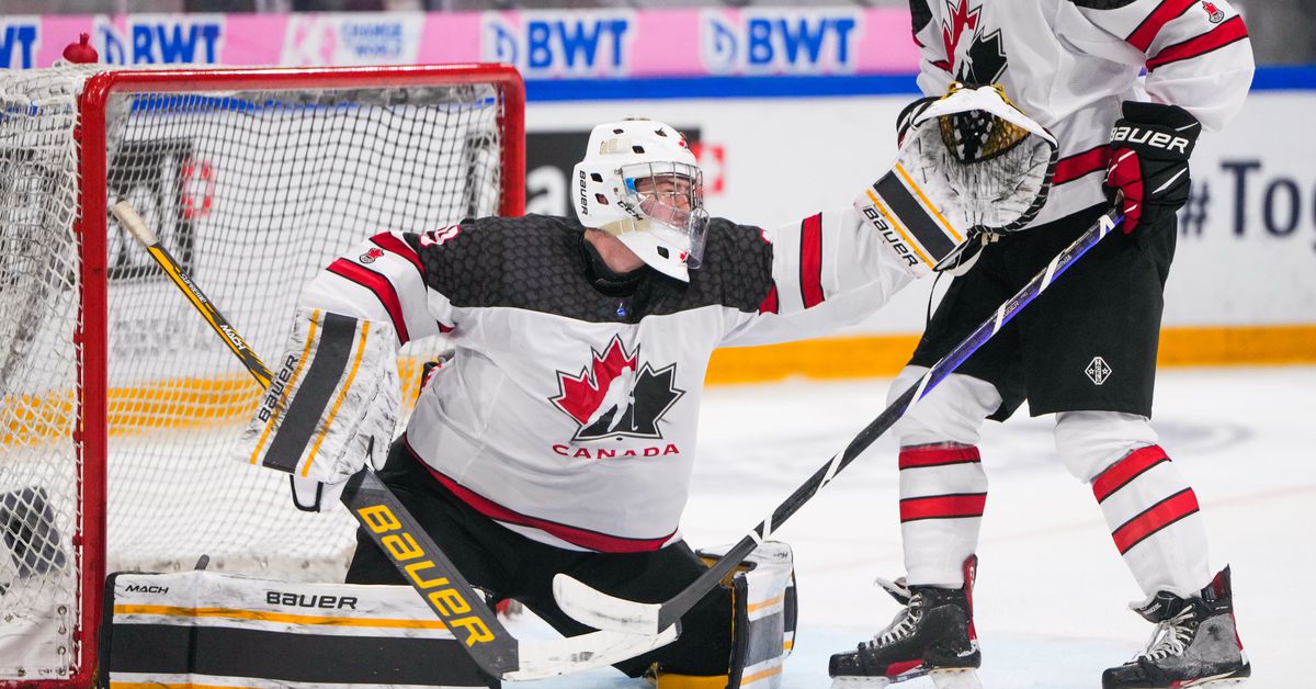 Penguins draft goalie Gabriel D’Aigle in third round with 84th pick