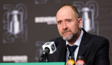 What qualities do the Dallas Stars need in their next leader?
