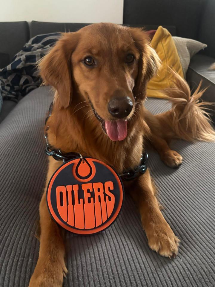 "Edie is proud to rep her favourite team. Her older sister Ellie is jealous of her team's success (her and her Dad are miserable Leafs fans)," wrote Mike Gibbons, who sent in this photo.