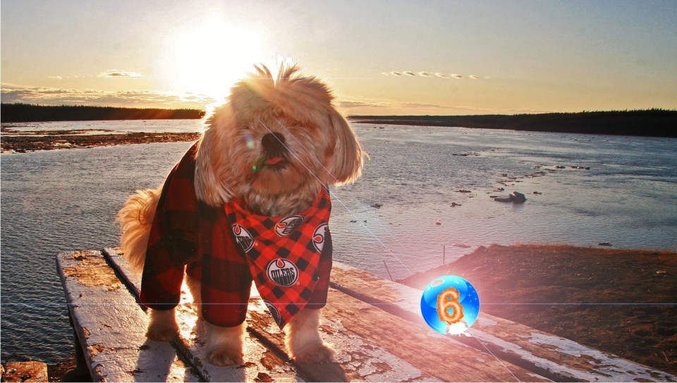 "Basking in the Tsiigehtchic midnight sun after the Oilers win on Thursday evening, Kyzr the Soothsayer predicts an Oilers win in six games," writes Lawrence Norbert, who sent this photo.