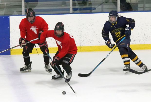The Dearborn Divine Child ice hockey team, red, outlasted Wyandotte...