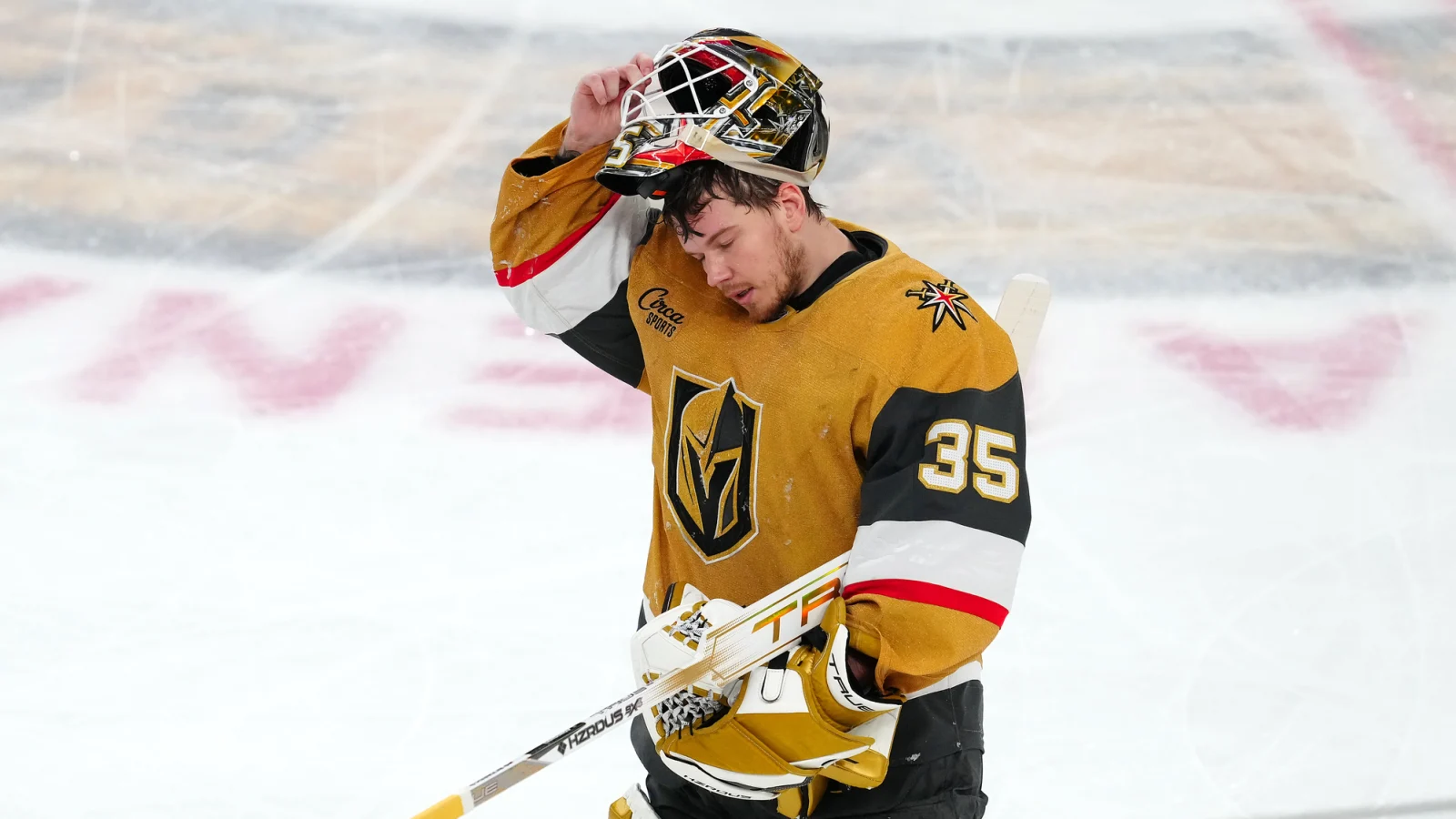 Former Maple Leafs Goaltender Confirmed to be Heading Back to Free Agency