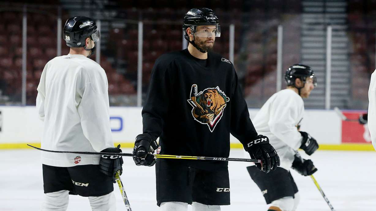 Utah Grizzlies are now up for sale — and could be relocated