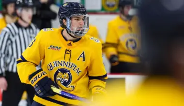 New York Rangers steal 24-year old defenseman from Atlantic Division team with a one-year contract