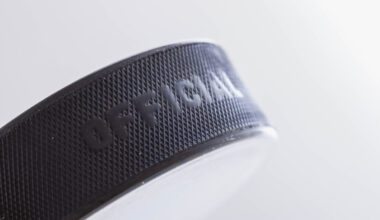 Vienna City Council proves warm to the idea of new hockey rink | News, Sports, Jobs