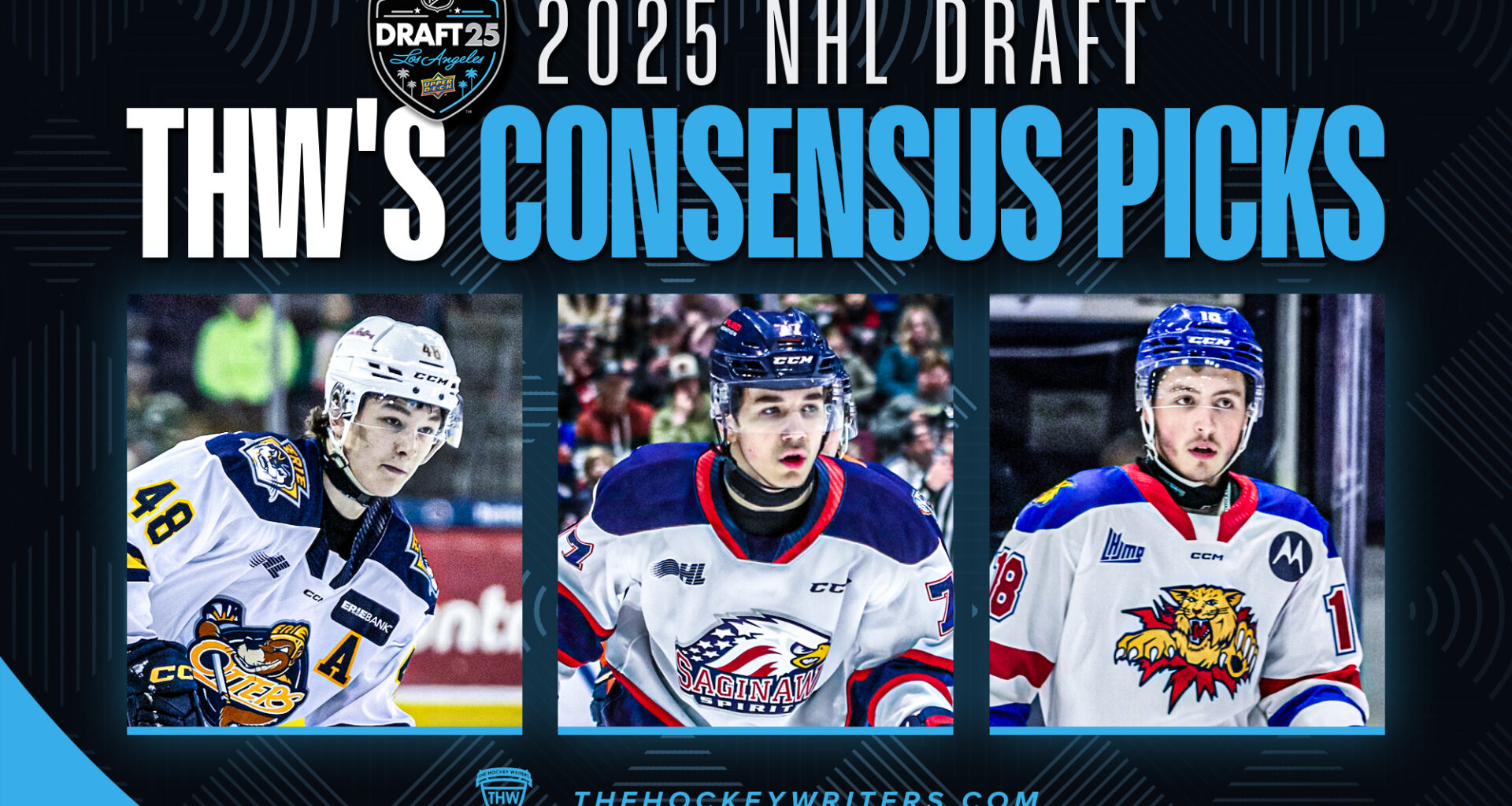 2025 NHL Draft: THW