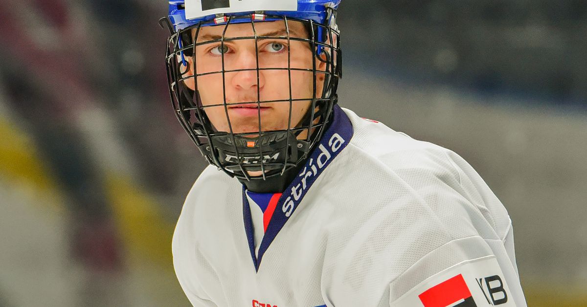Tomas Poletin: 2025 NHL Draft Prospect Profile: A Competitive, Big-Bodied Winger