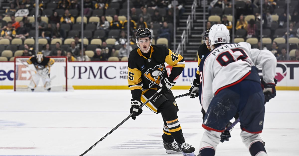 Penguins announce 2025 exhibition schedule