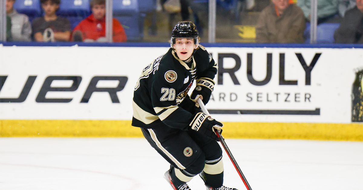 Luka Radivojevic - 2025 NHL Draft Profile