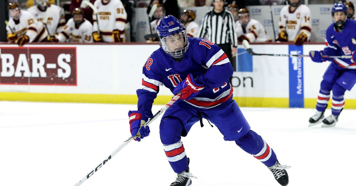 2025 NHL Draft Profiles: LJ Mooney