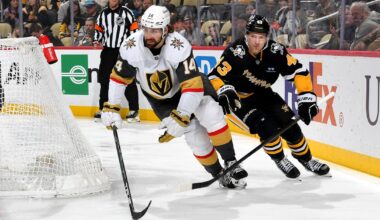 Nic Hague, the upgrade the Pens need on defense?