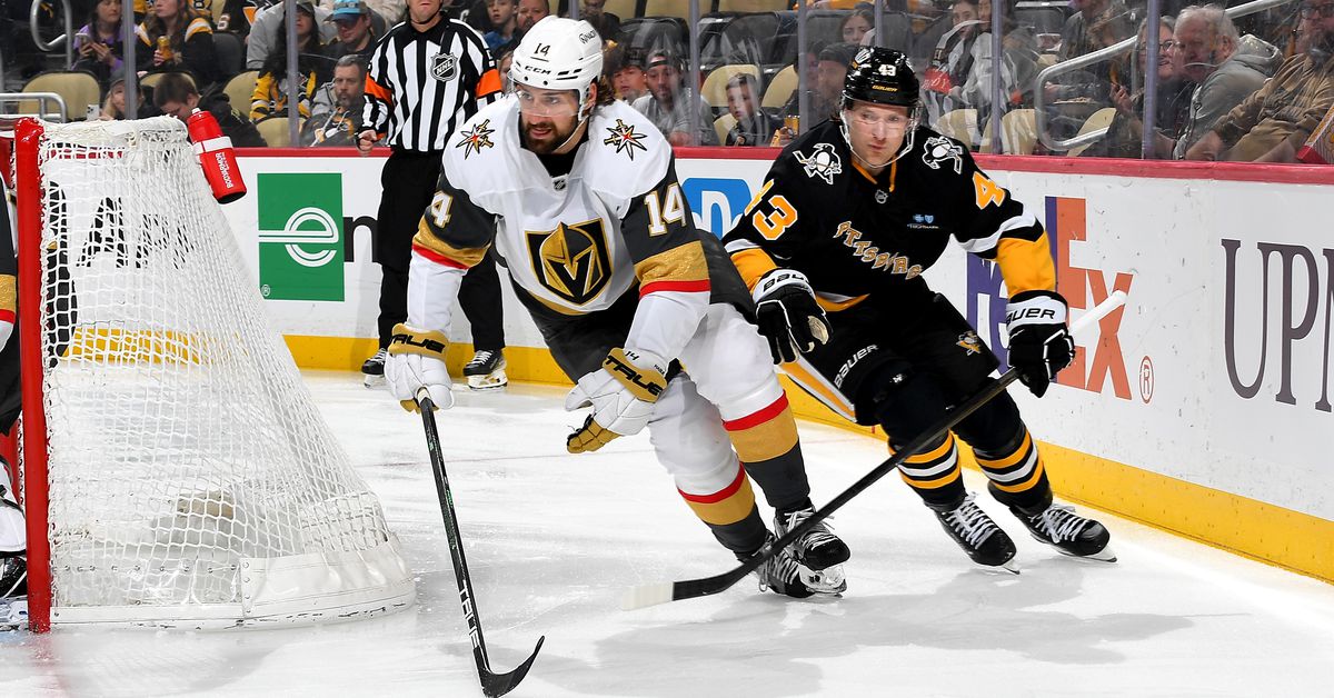 Nic Hague, the upgrade the Pens need on defense?